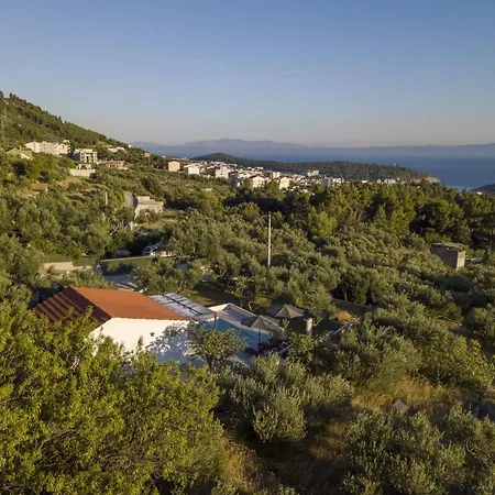 Ferienhaus Olive Lounge House Makarska