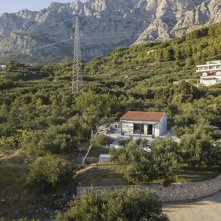 Olive Lounge House *