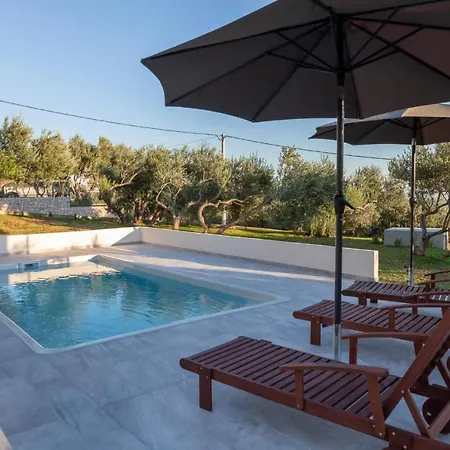 Olive Lounge House