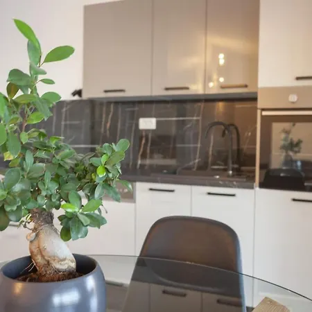 Olive Lounge House Ferienhaus Makarska