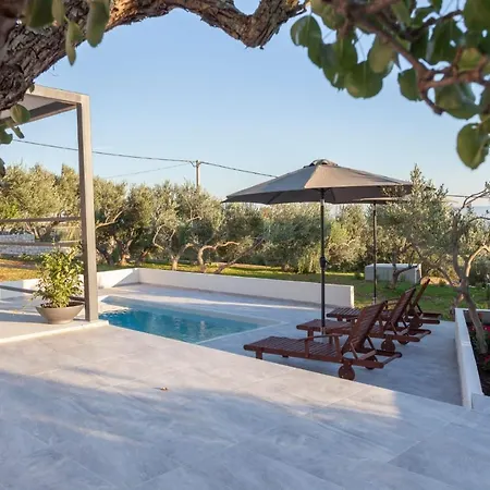 Olive Lounge House Ferienhaus