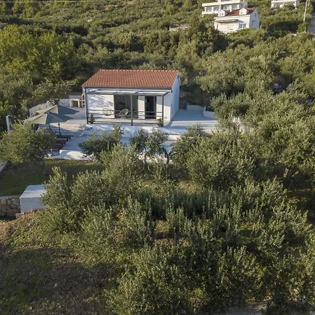Vikendica Olive Lounge House *